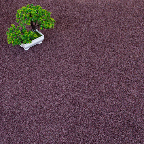 Plum Louisiana Saxony Carpet