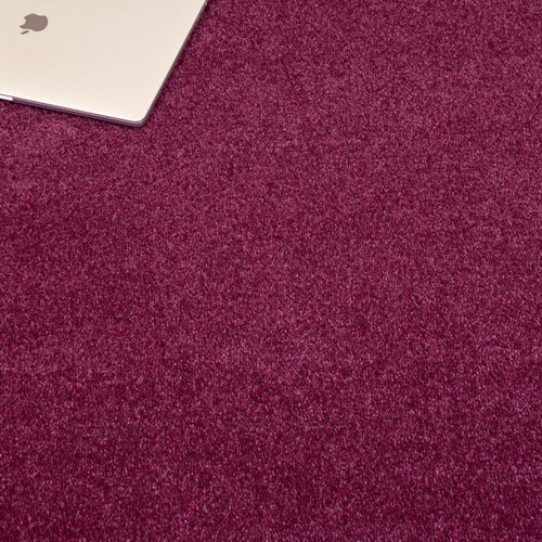 Purple Lakeland Luxury Saxony Carpet