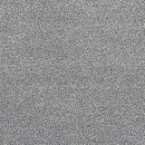 Cassius 70oz Heathers Invictus Carpet