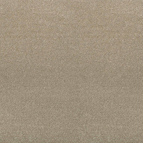 Ivory 71 Revolution Heathers Carpet 2.2m x 5m Remnant