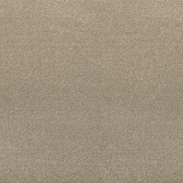 Ivory 71 Revolution Heathers Carpet 2.2m x 5m Remnant