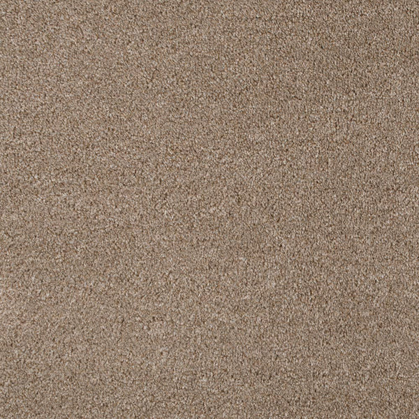 Light Brown 194 Revolution Carpet 2.28m x 5m Remnant