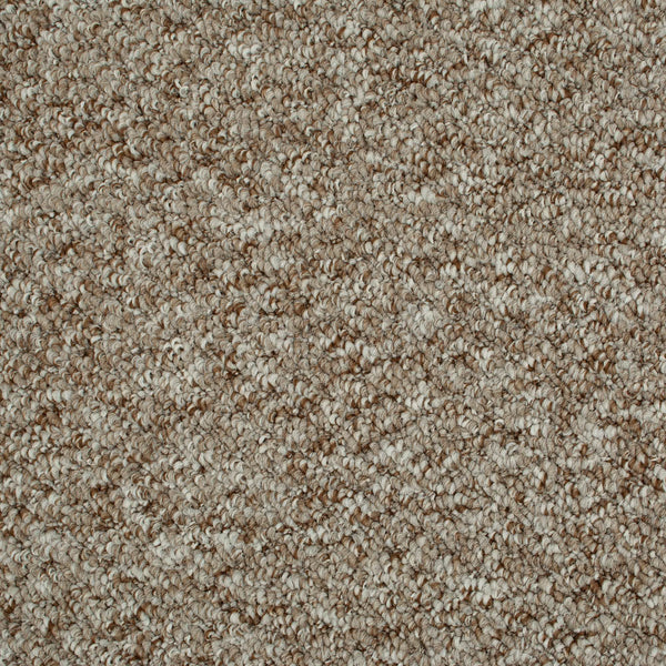 Rich Beige Sweet Home Felt Backed Carpet 5.4m x 5m Remnant