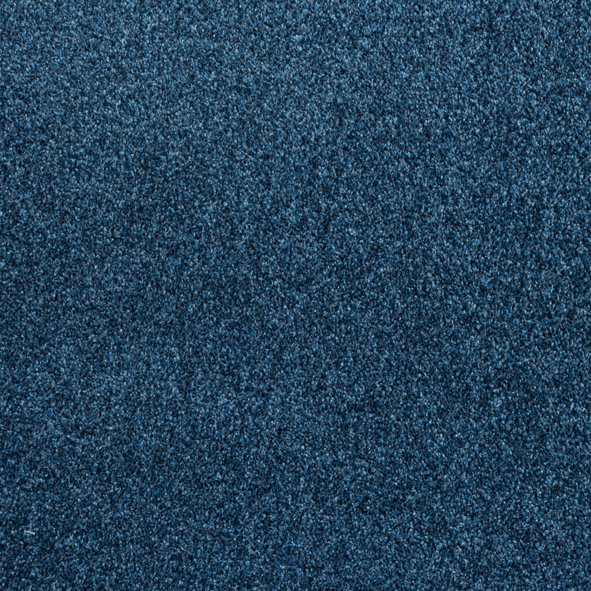 Royal Blue Louisiana Saxony Carpet