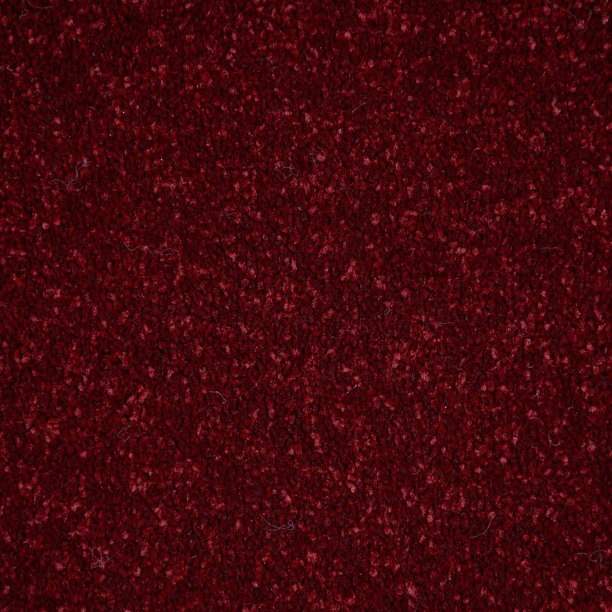 Ruby Stainfree Ultra Carpet by Abingdon