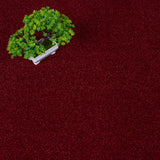 Ruby Stainfree Ultra Carpet by Abingdon