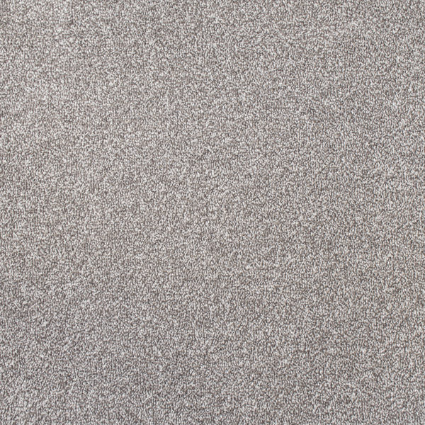 Sable Belle Twist Carpet Clearance