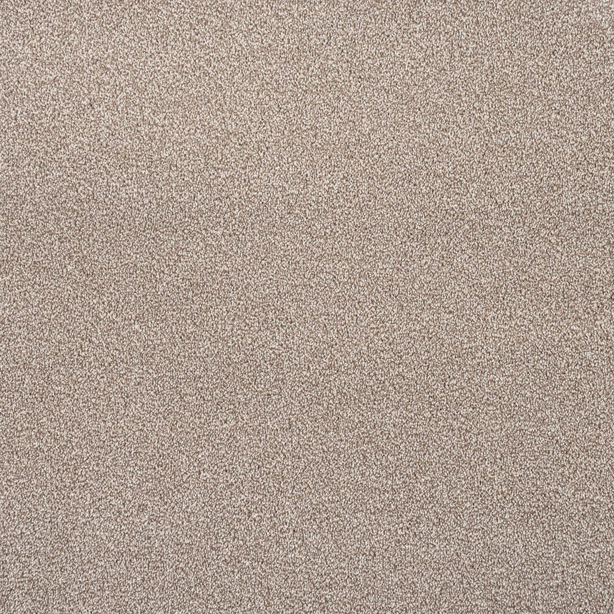 Sable Sensation Heathers 60oz Carpet by Cormar