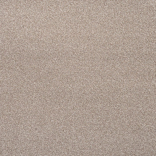 Sable Sensation Heathers 60oz Carpet by Cormar