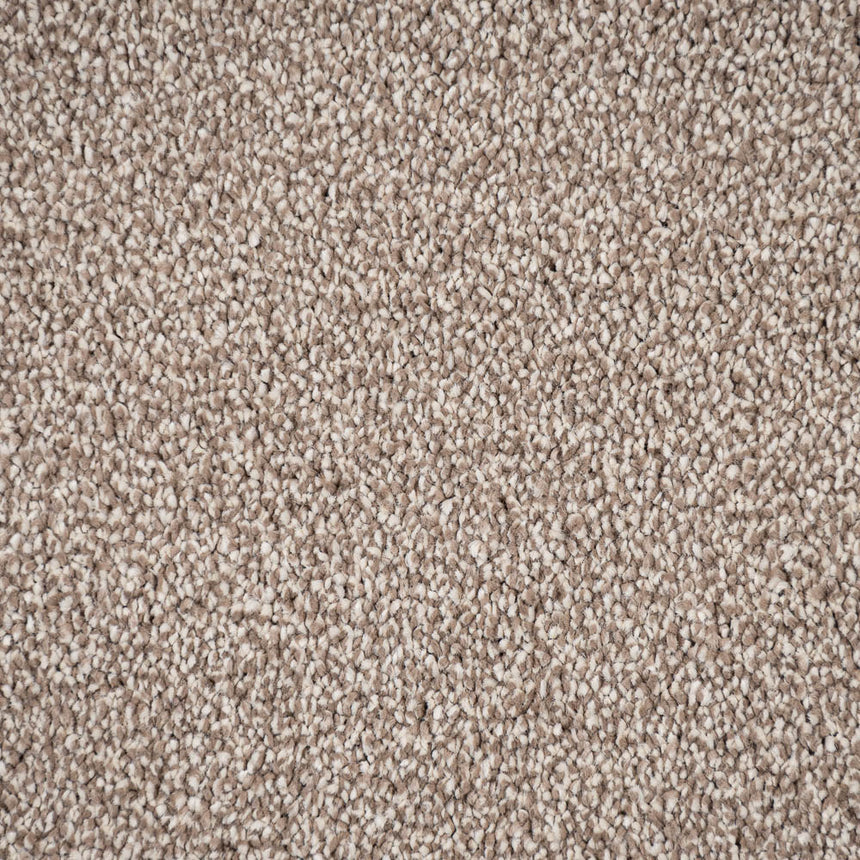 Sable Sensation Heathers 60oz Carpet by Cormar