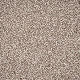 Sable Sensation Heathers 60oz Carpet by Cormar