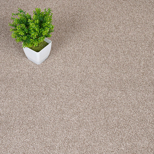 Sable Sensation Heathers 60oz Carpet by Cormar