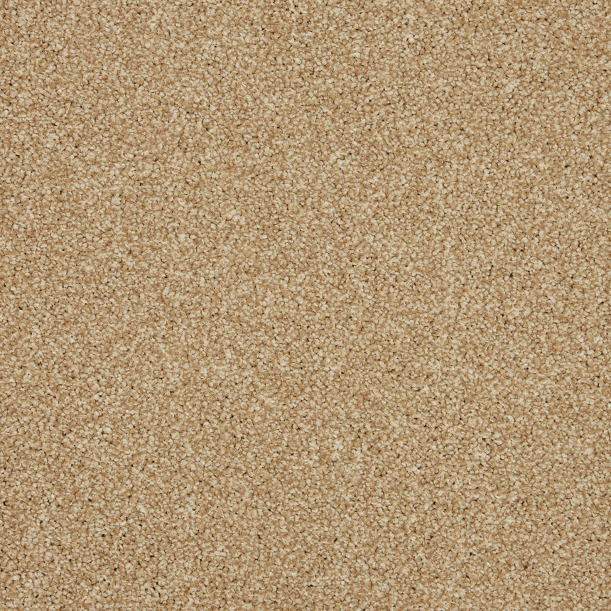 Inglewood Saxony Carpet by Cormar