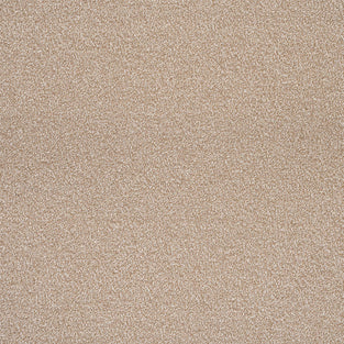 Sandstone 72 Birma Saxony Carpet