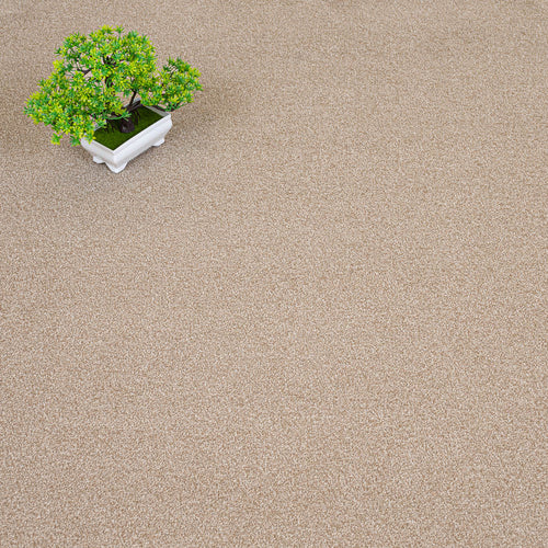 Sandstone 72 Birma Saxony Carpet