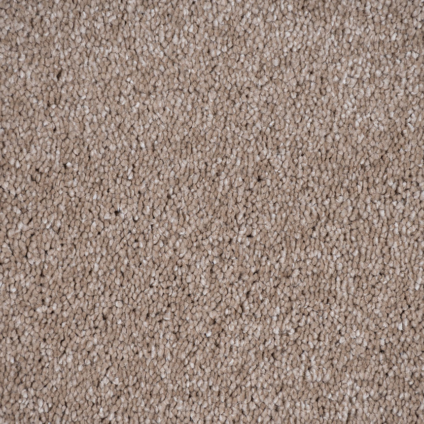 Sandy Beach 32 Sirius 70oz Invictus Carpet