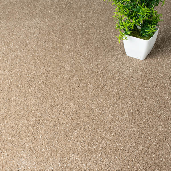 Sandy Beach 32 Sirius 70oz Invictus Carpet | AW | Online Carpets