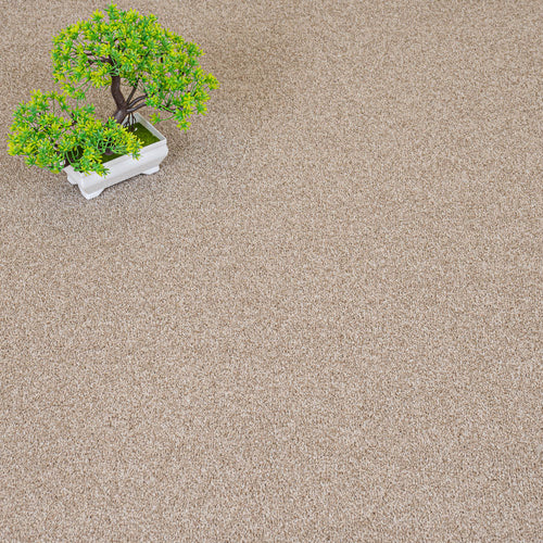 Sandy Beige Aspire Twist Carpet