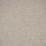 Sandy Beige Bellevue Saxony Carpet