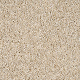 Sandy Beige Lyra Saxony Carpet