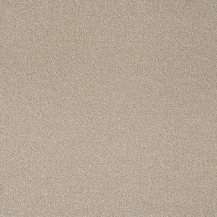 Savannah Rustique Ultra Carpet by Abingdon