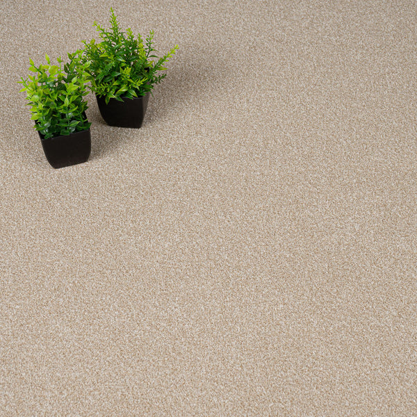 Savannah Rustique Ultra Carpet by Abingdon