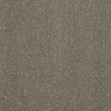 Seneca Rock 13 Stainfree Pure Elegance Carpet by Abingdon