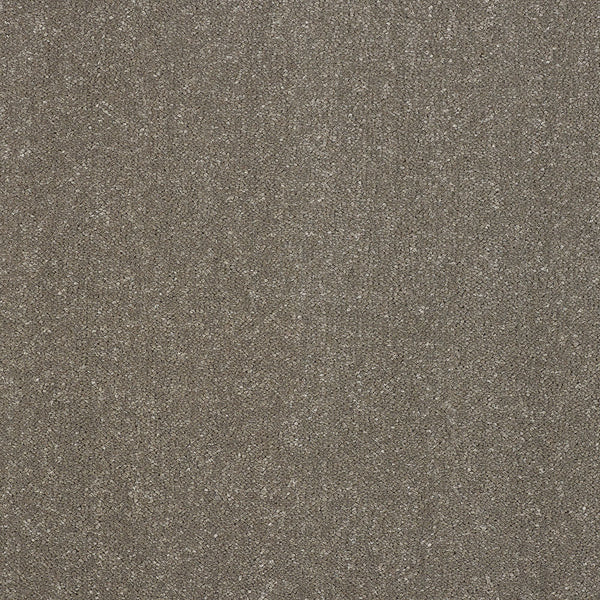 Seneca Rock 13 Stainfree Pure Elegance Carpet by Abingdon