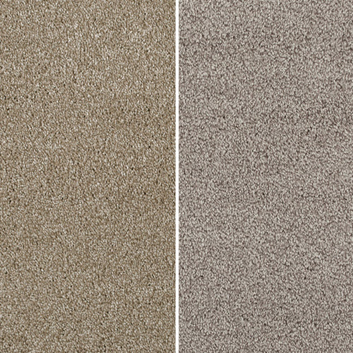 Serano Elite Intenza Carpet