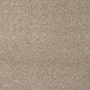 Shell Maverick Saxony Carpet