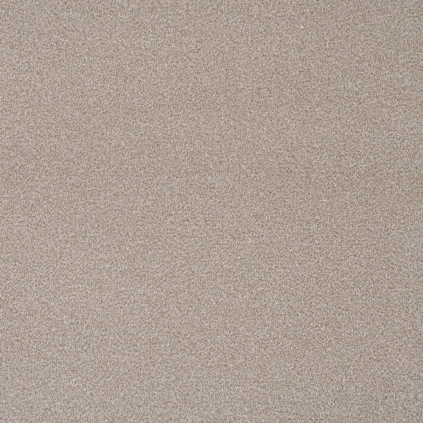 Shortbread Apollo Plus Carpet by Cormar