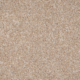 Sierra Trinity Twist Carpet by Cormar