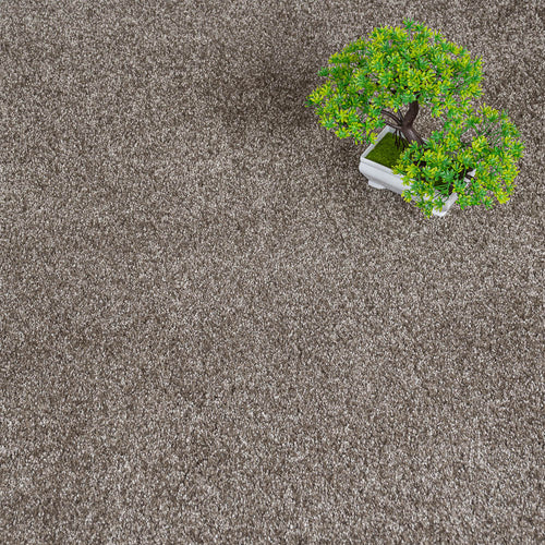 Silt 46 Serenity iSense Carpet