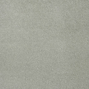 Silver Grey Moxie Saxony Carpet