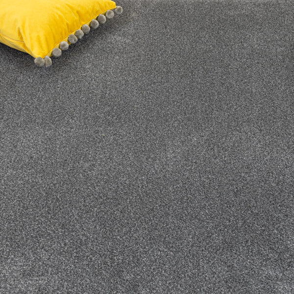 Silver Grey Quebec Twist Carpet