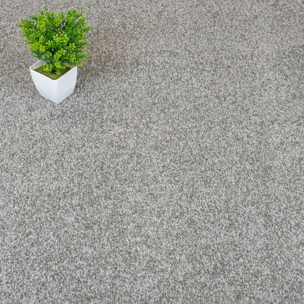 Silver Grey Selene Saxony Carpet