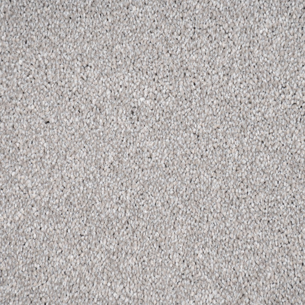 Silver Stainfree Caress Carpet by Abingdon