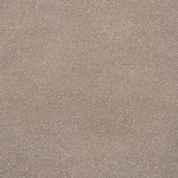 Soft Beige Versailles Twist Carpet