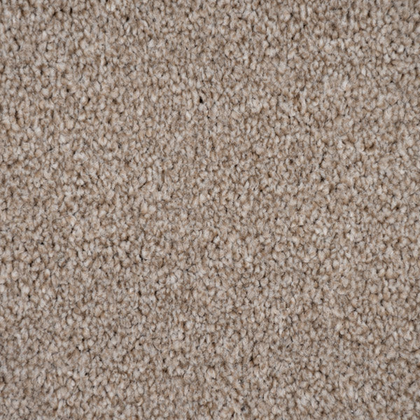 Soft Beige Versailles Twist Carpet