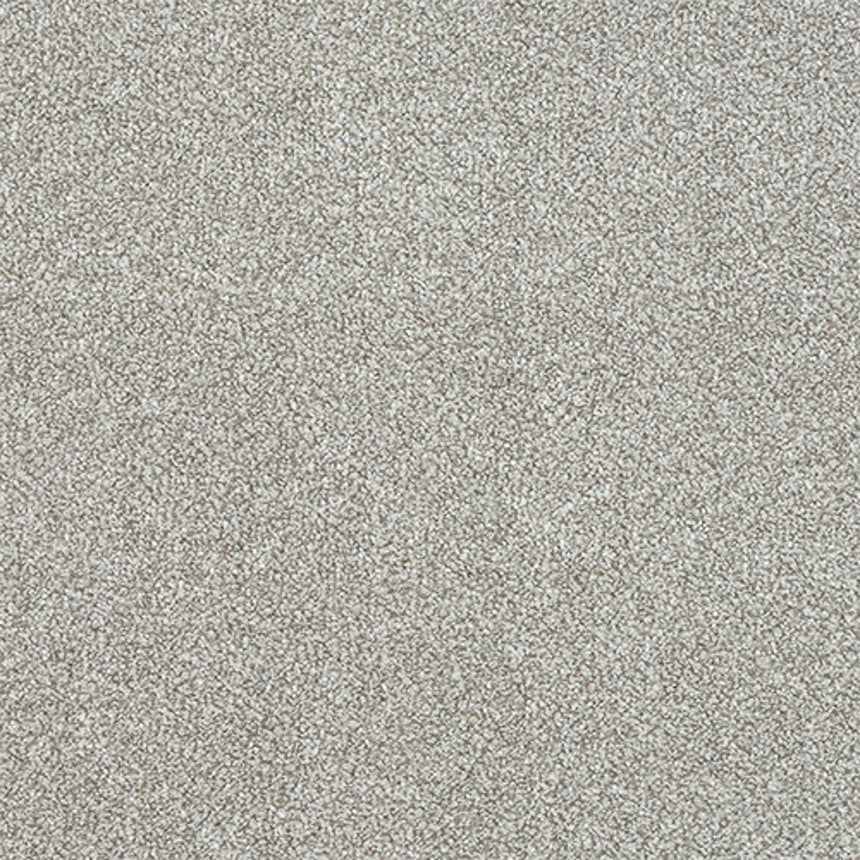 Stainfree Ultra Carpet by Abingdon