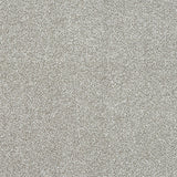 Stainfree Ultra Carpet by Abingdon