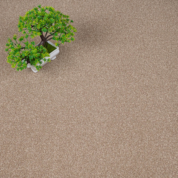 Stepping Stone Apollo Plus Carpet by Cormar