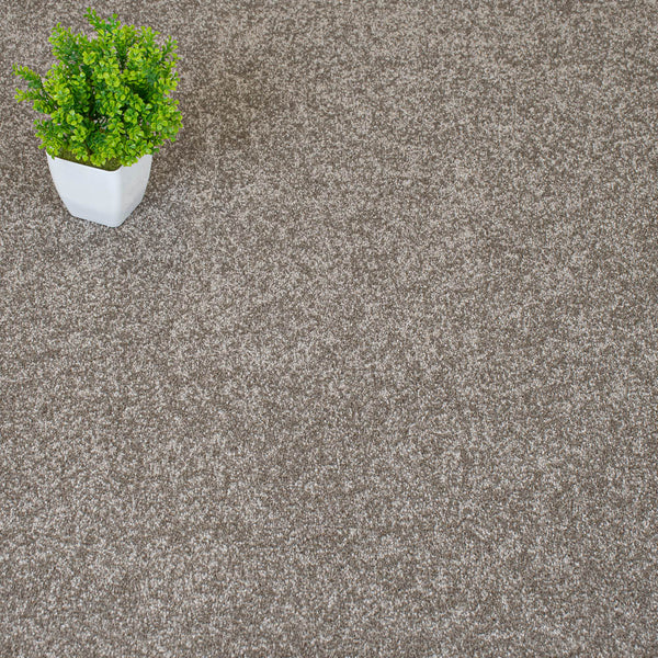 Stone Aspire Twist Carpet