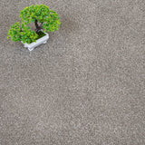 Stone Grey Monaco Twist Carpet