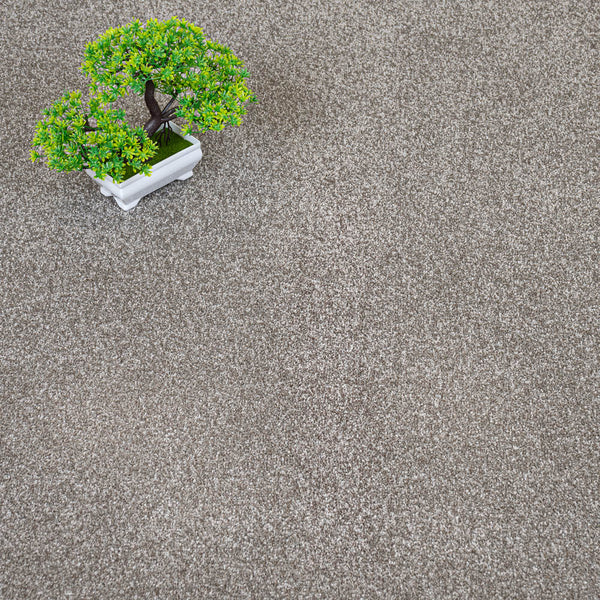 Stone Grey Monaco Twist Carpet