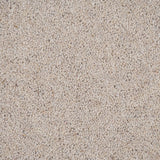 Stone Riverside Twist 60oz Carpet