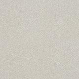 Stainfree Ultra Carpet by Abingdon