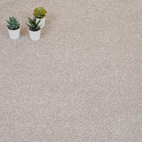 Straw Vision Luxury Saxony Actionback Carpet