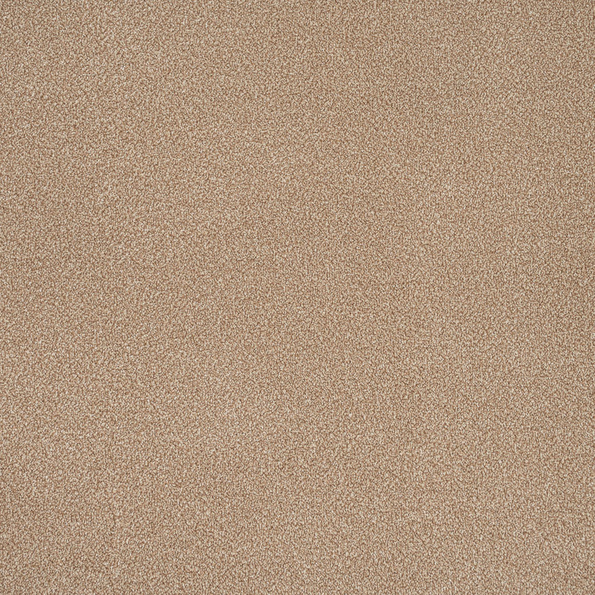 Stainfree Ultra Carpet by Abingdon