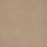 Stainfree Ultra Carpet by Abingdon